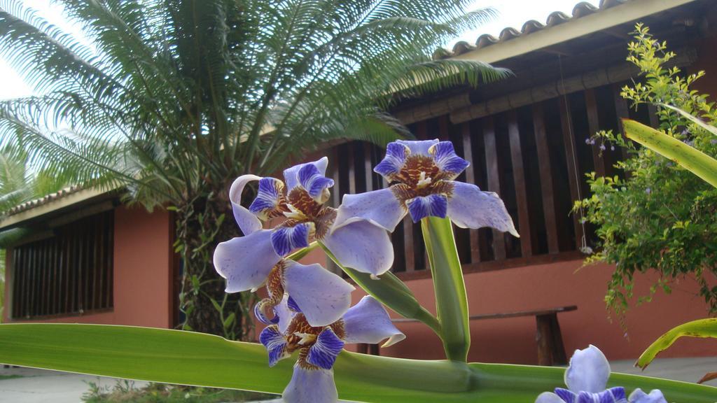 Pousada Brisa Do Mar Hotel Barra Grande  Exterior foto